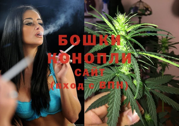 прущие грибы Красноперекопск