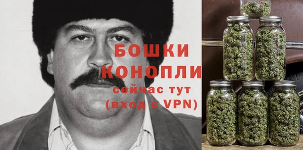 прущие грибы Красноперекопск
