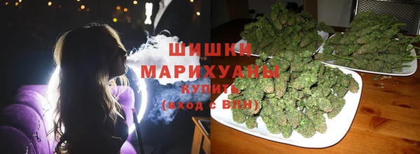 прущие грибы Красноперекопск