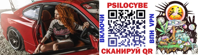 Псилоцибиновые грибы GOLDEN TEACHER купить сайты Елизаветинская