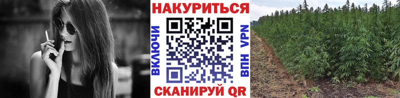 блэк спрут ТОР  Елизаветинская  МАРИХУАНА ГИДРОПОН 